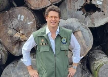 Moraes devolve ao STF ação contra Salles por decisão a favor de madeireiras