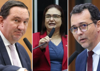 Petistas comemoram decisão do STF