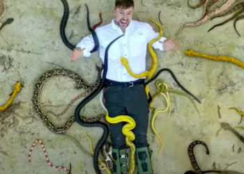 Aumenta número de estudantes brasileiros nos EUA