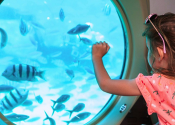 Ar-condicionado e capacidade para mais de 40 passageiros: VÍDEO mostra como era submarino que naufragou no Egito por dentro