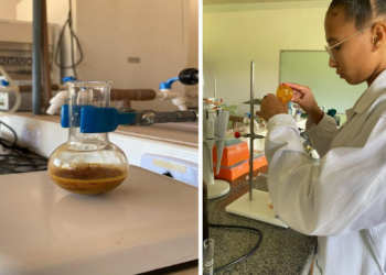 Pesquisa avalia substâncias orgânicas como alternativa promissora no combate à mancha angular do algodoeiro