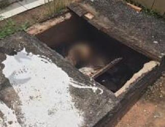 Corpo esquartejado é encontrado ao lado de cabeça de porco dentro de sepultura