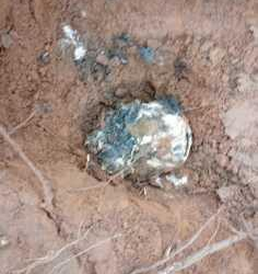 Ossadas humanas são encontradas em covas rasas em VG; vídeo