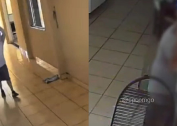 Entregador de água agarra menina de 12 anos e acaba preso