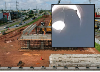 Onça-pintada paralisa obra na BR-163 em Nova Mutum