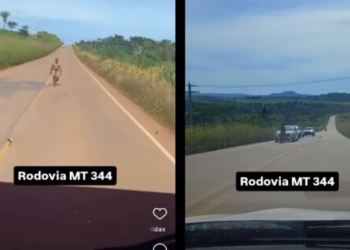 Peladão danifica carros em rodovia e acaba preso