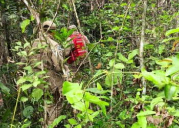 VÍDEO: Avião cai em Rondonópolis e piloto está desaparecido