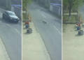 Vira-latas salvam cachorrinho atropelado por carro na China; VÍDEO mostra resgate