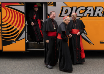 INFOGRÁFICO mostra o país de origem, a idade, e quem nomeou cada um dos 133 cardeais que vão escolher o sucessor do papa Francisco