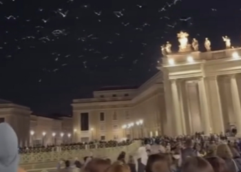 É #FATO que gaivotas sobrevoaram Praça São Pedro em meio ao funeral do papa Francisco