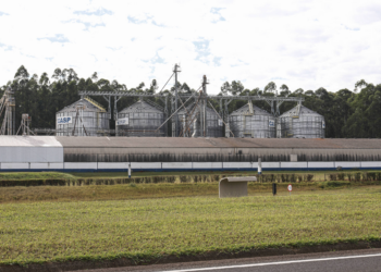 Armazenagem atinge recorde de recursos do BNDES com Plano Safra