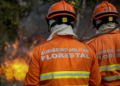 Corpo de Bombeiros abre inscrições para o 7° Curso de Prevenção e Combate a Incêndios Florestais
