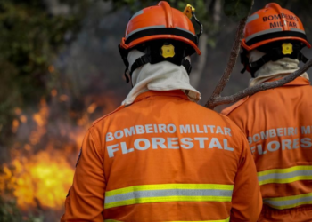 Corpo de Bombeiros abre inscrições para o 7° Curso de Prevenção e Combate a Incêndios Florestais