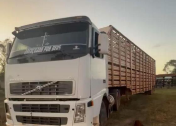 Quadrilha mantém três reféns em fazenda e rouba mais de 100 cabeças de gado