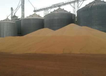 Homem é soterrado por grãos de soja e morre em armazém