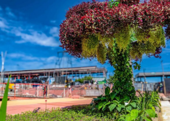 Árvore artificial, desmatamento, hotel de luxo: os fiascos da COP-30