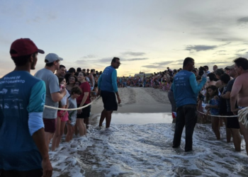 Refeição em 2D? Restaurante simula ambiente de caderno de desenho