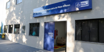 Exame descarta suspeita de gripe aviária em Mato Grosso