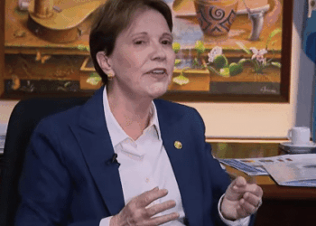 Licenciamento ambiental: relatora defende retirar poder de veto do governo