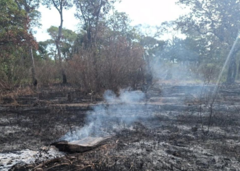 Sema participa de discussões para criação de Índice de Qualidade da Água específico para Amazônia