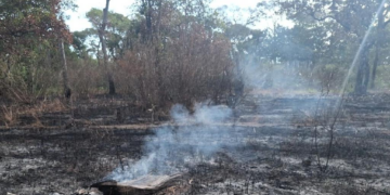 Sema participa de discussões para criação de Índice de Qualidade da Água específico para Amazônia