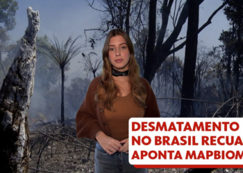 Governo reage após Europa excluir Brasil em lista de 'baixo risco' de desmatamento: 'Unilateral e discriminatório'