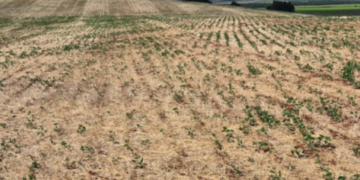 Governo declara emergência hídrica diante de estiagem prolongada