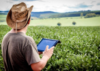 Brasil ganha mapa inédito que mostra o que plantar, onde e como
