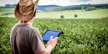 Brasil ganha mapa inédito que mostra o que plantar, onde e como