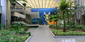 Governo de MT impulsiona desenvolvimento do Estado com redução de impostos para cidadão