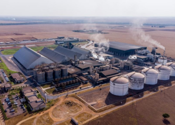 Incentivos fiscais impulsionam investimentos e geração de empregos em Mato Grosso