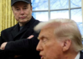 Musk e Trump trocam elogios e bilionário seguirá como 'conselheiro' do Doge
