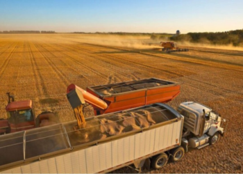 Fretes agrícolas sobem no Nordeste com alta no milho e escoamento da soja