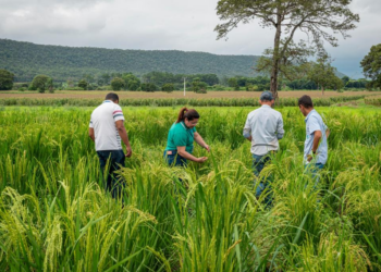 Museu de Arte Sacra realiza programação especial para celebrar a 23ª Semana Nacional de Museus