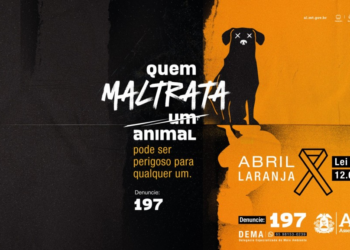 Campanha da ALMT para conscientizar sobre abuso contra animais é destaque em site internacional