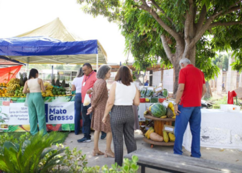 Seaf e Empaer reabrem feira que aproxima campo e cidade com produtos de qualidade