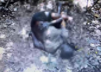 Corpo é encontrado em região de mata