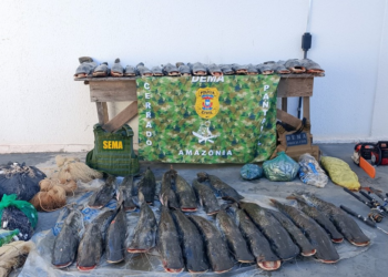 Sema e Dema apreendem 235 quilos de pescado em Barão de Melgaço após denúncia