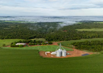 Etanol de milho: a energia limpa que nasce nas lavouras de Mato Grosso