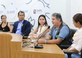 GT de Proteção Animal debate impactos dos atropelamentos