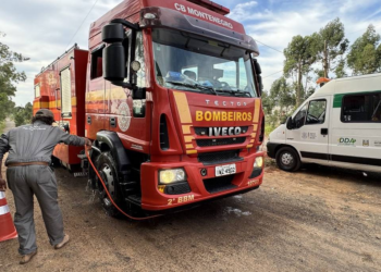 Nove destinos já suspenderam importação de frango brasileiro após caso de gripe aviária