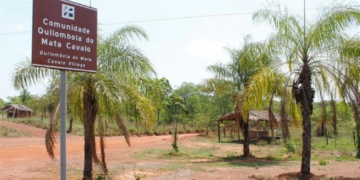 SES e Seduc promovem debate online sobre alergia alimentar