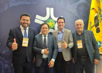 Prefeitos de MT participam de Marcha dos Municípios