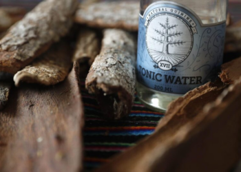 Quina, quinina, cloroquina: origens e usos de um medicamento secular