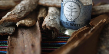 Quina, quinina, cloroquina: origens e usos de um medicamento secular