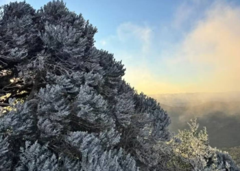 Cidade do RS tem neve, suspende aulas e distribui sopão a moradores; veja vídeo