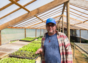 Mudanças ambientais forçam agricultores paulistanos a trocar hortaliças por frutas