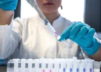 Conheça seis cientistas brasileiros e suas descobertas