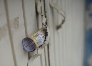 Eleição para o Judiciário: entenda regras da votação inédita no México