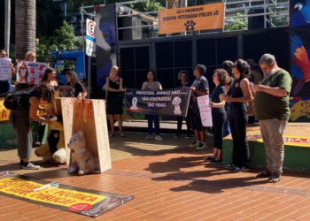 Manifestantes atacam Abilio e prefeito desiste de construir hospital veterinário; veja vídeo